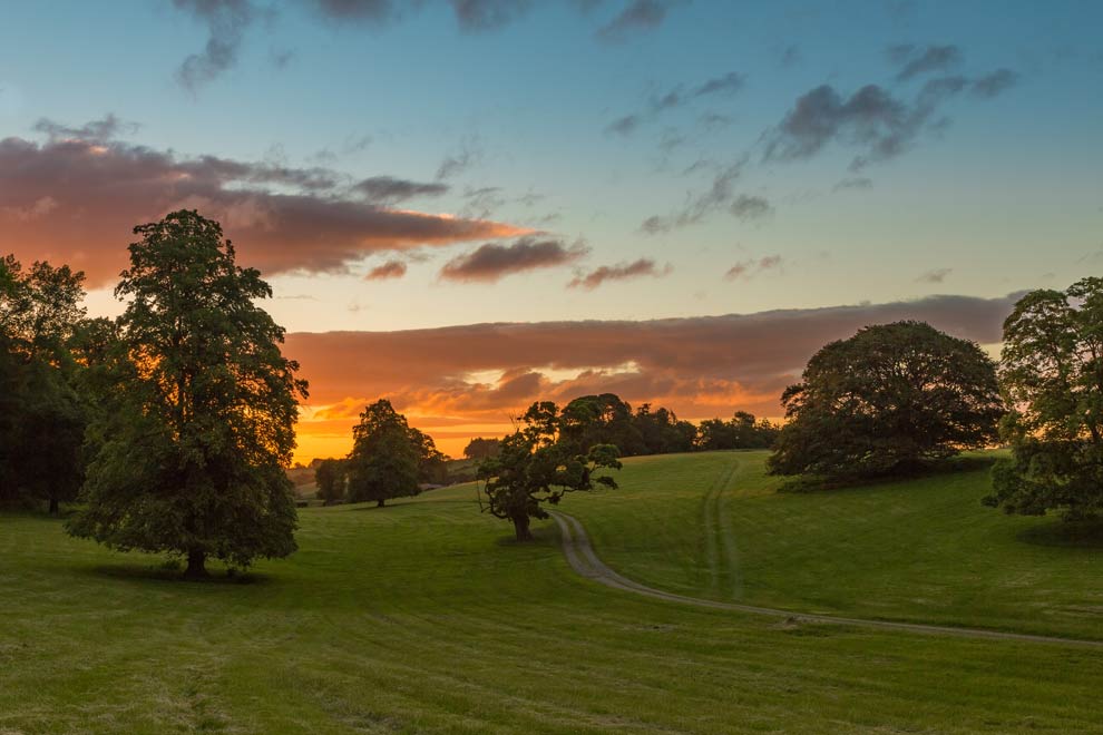 Riddell Estate sunset over fields