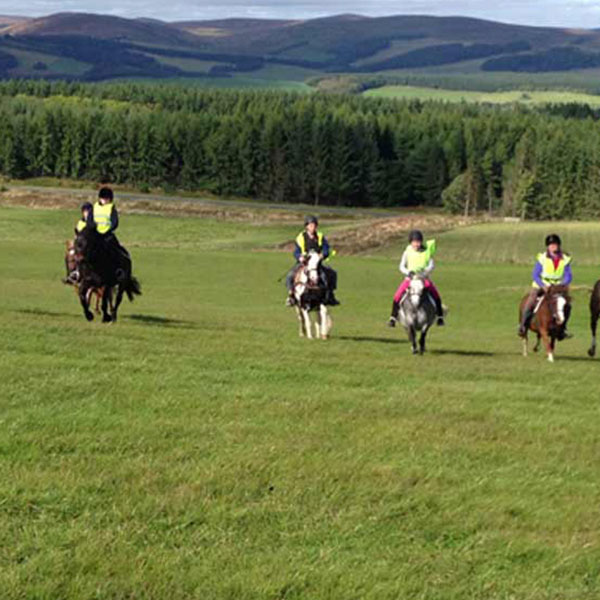 Ian Stark Equestrian Centre - Horse Riding